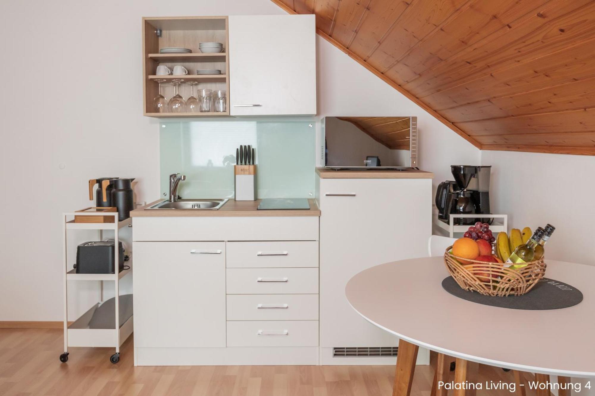 Palatina Living Apartment Fischbach Екстериор снимка