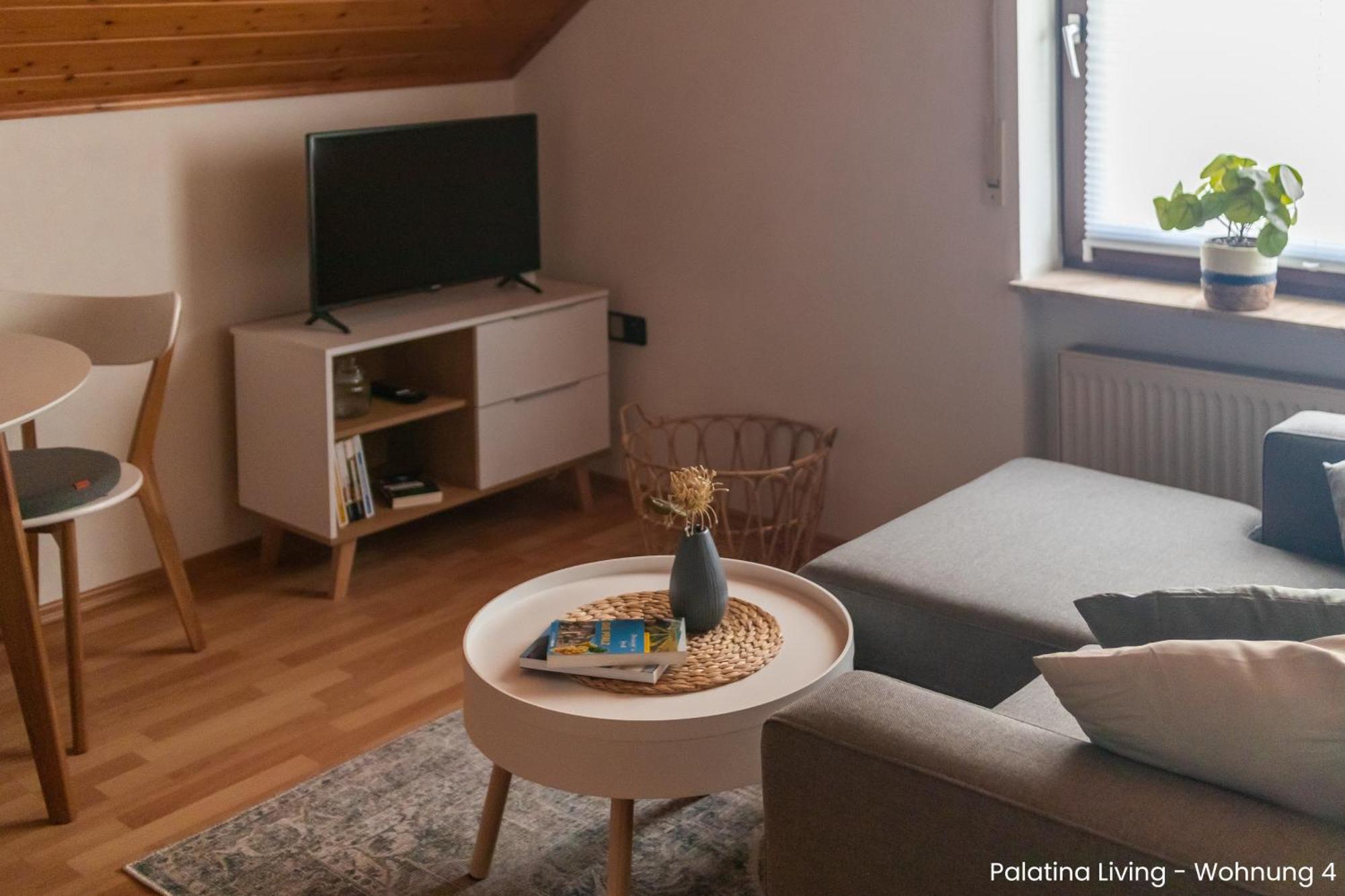 Palatina Living Apartment Fischbach Екстериор снимка