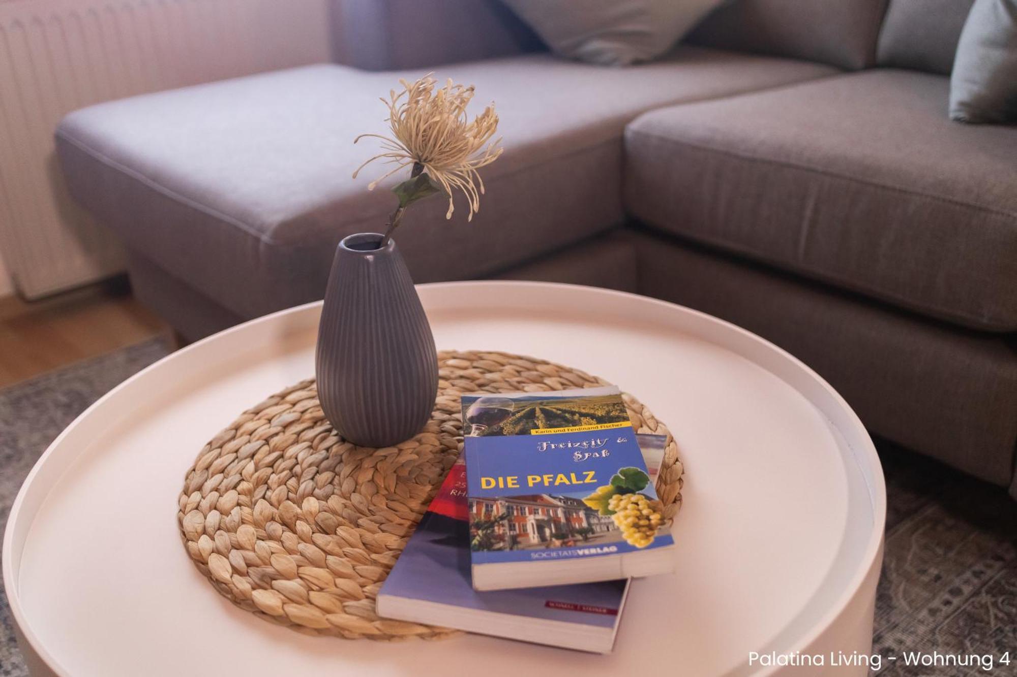 Palatina Living Apartment Fischbach Екстериор снимка