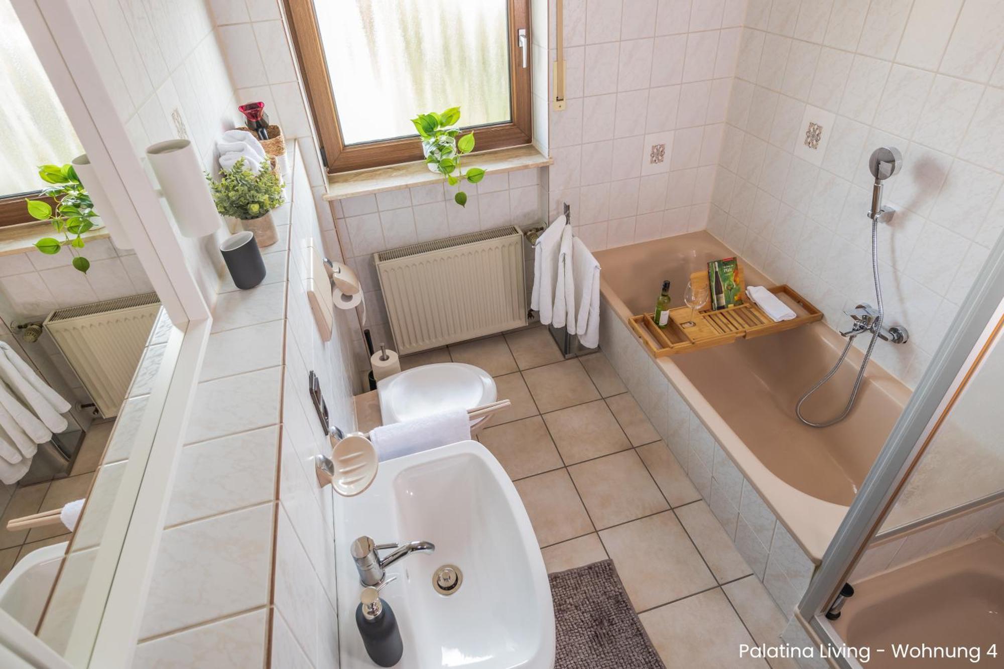 Palatina Living Apartment Fischbach Екстериор снимка