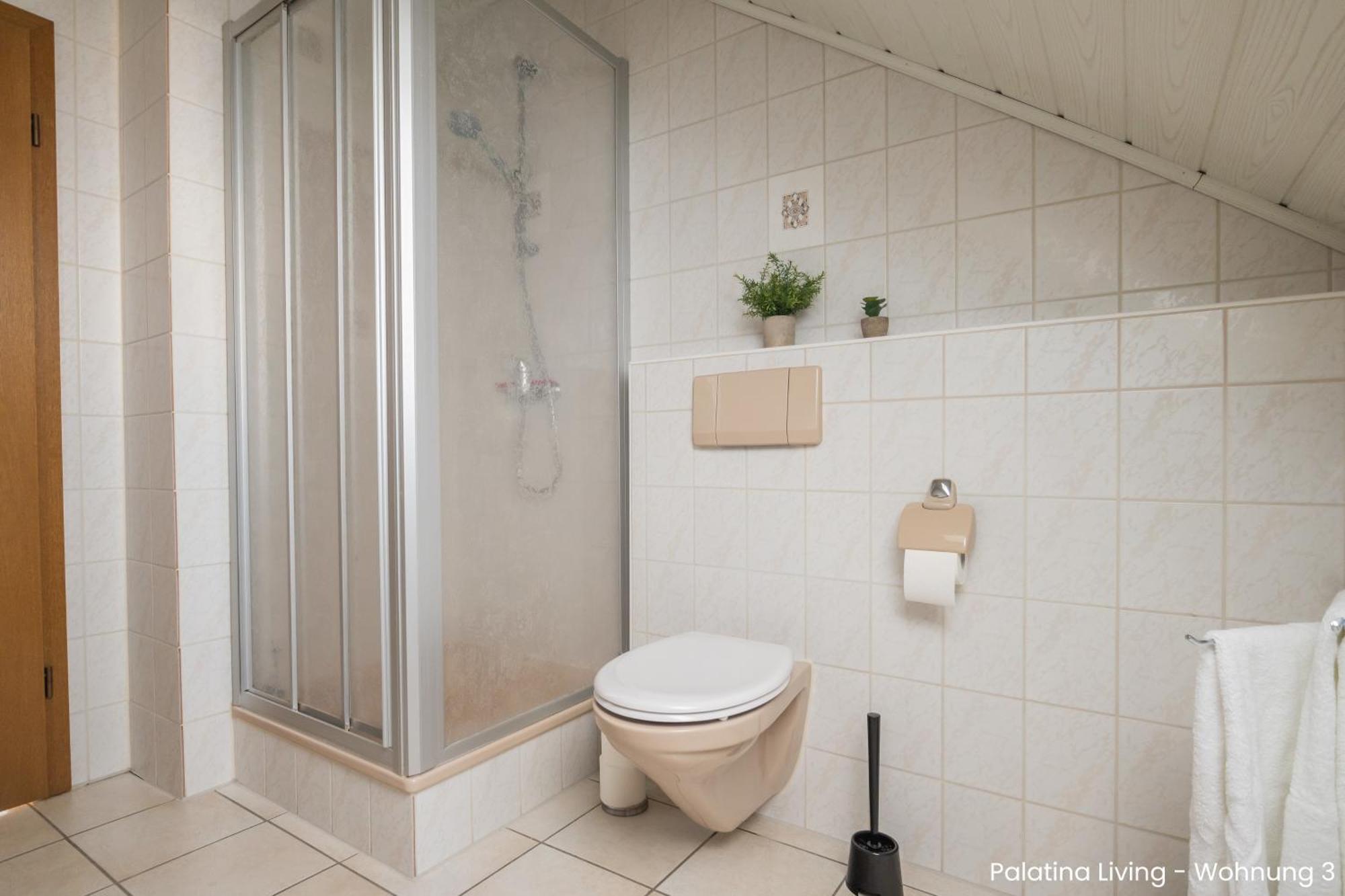 Palatina Living Apartment Fischbach Екстериор снимка