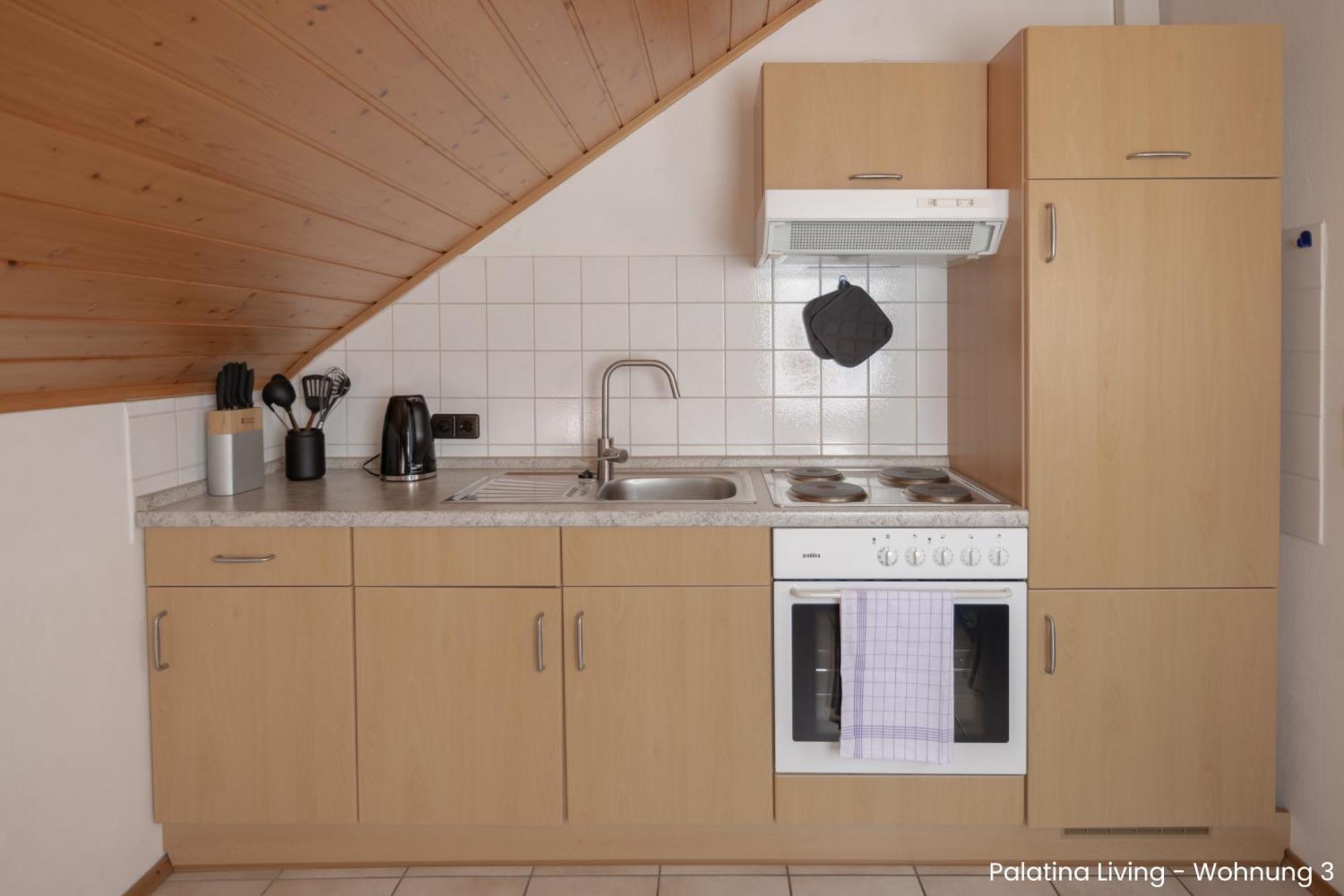 Palatina Living Apartment Fischbach Екстериор снимка