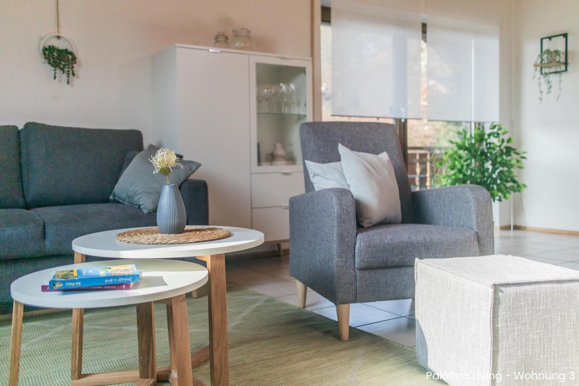 Palatina Living Apartment Fischbach Екстериор снимка