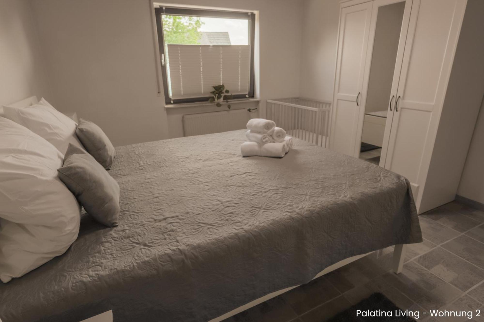 Palatina Living Apartment Fischbach Екстериор снимка