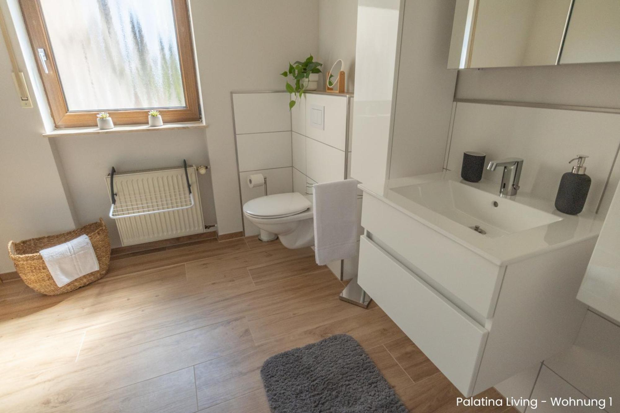 Palatina Living Apartment Fischbach Екстериор снимка