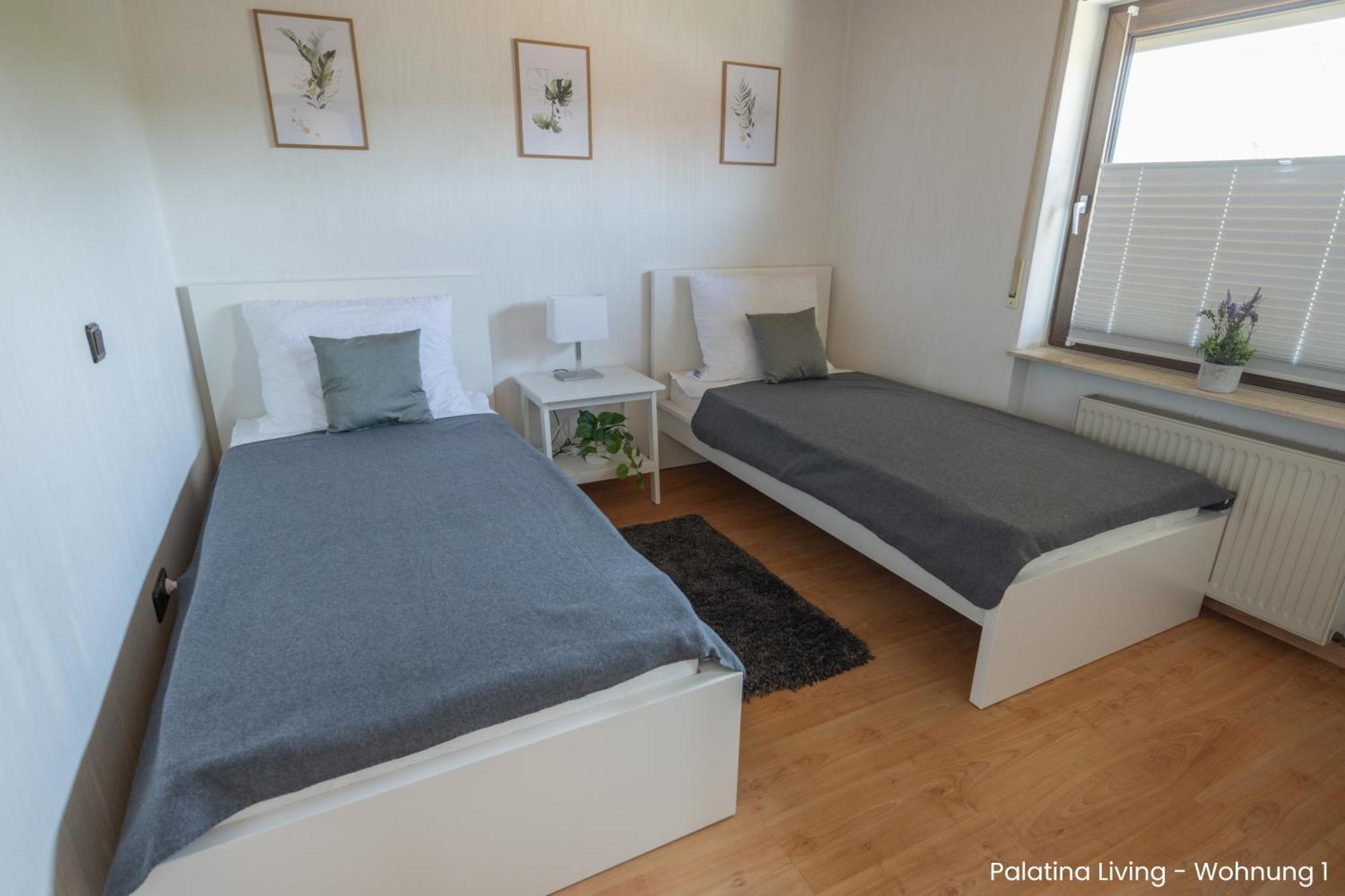 Palatina Living Apartment Fischbach Екстериор снимка