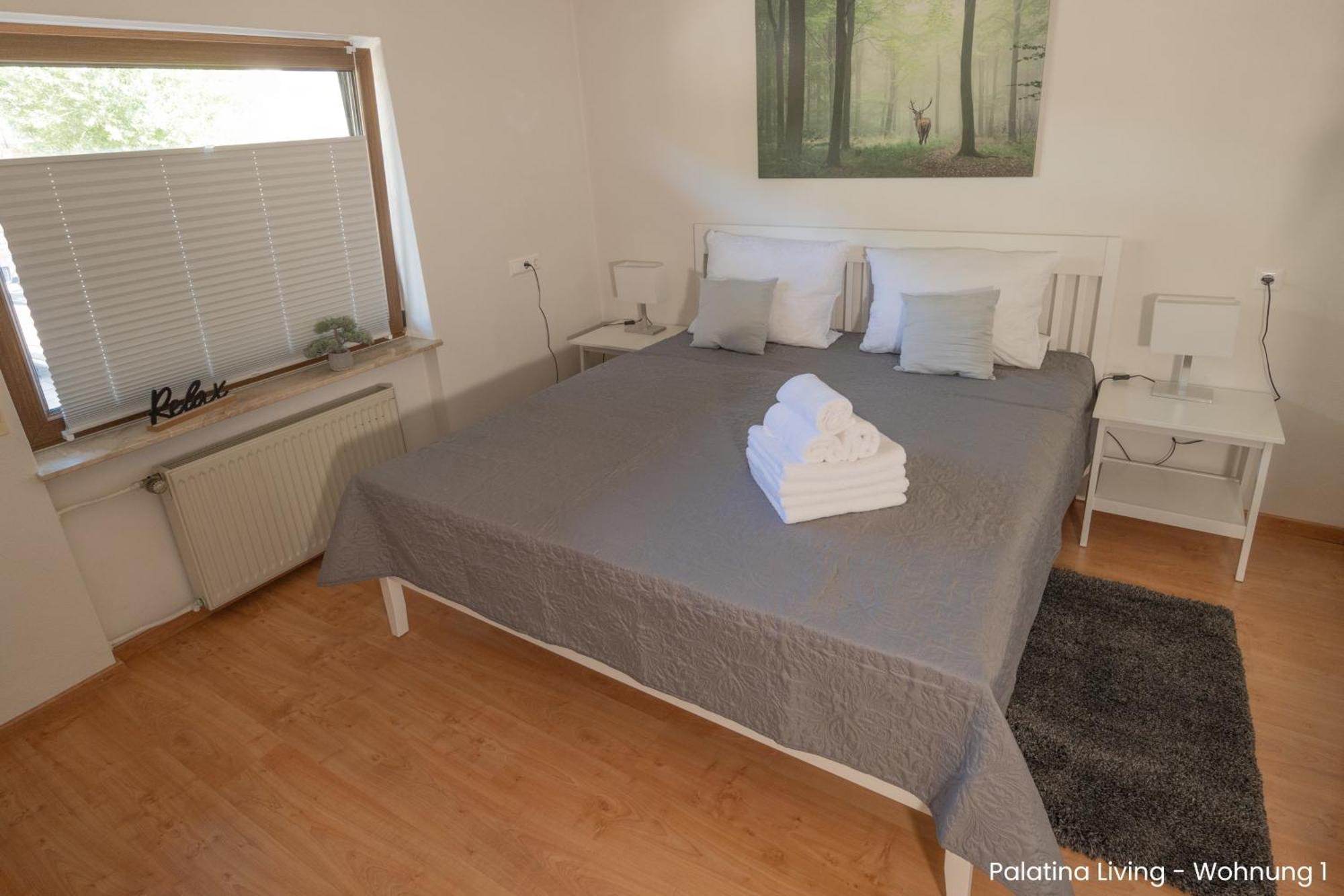 Palatina Living Apartment Fischbach Екстериор снимка