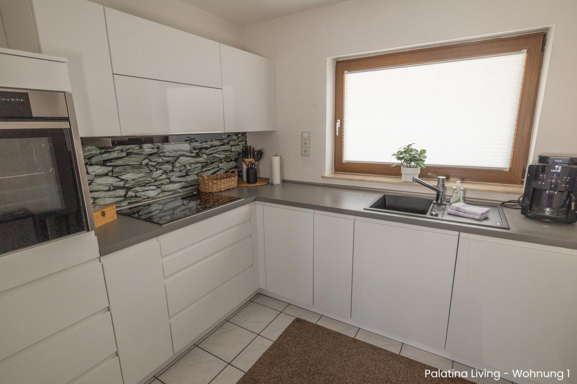 Palatina Living Apartment Fischbach Екстериор снимка
