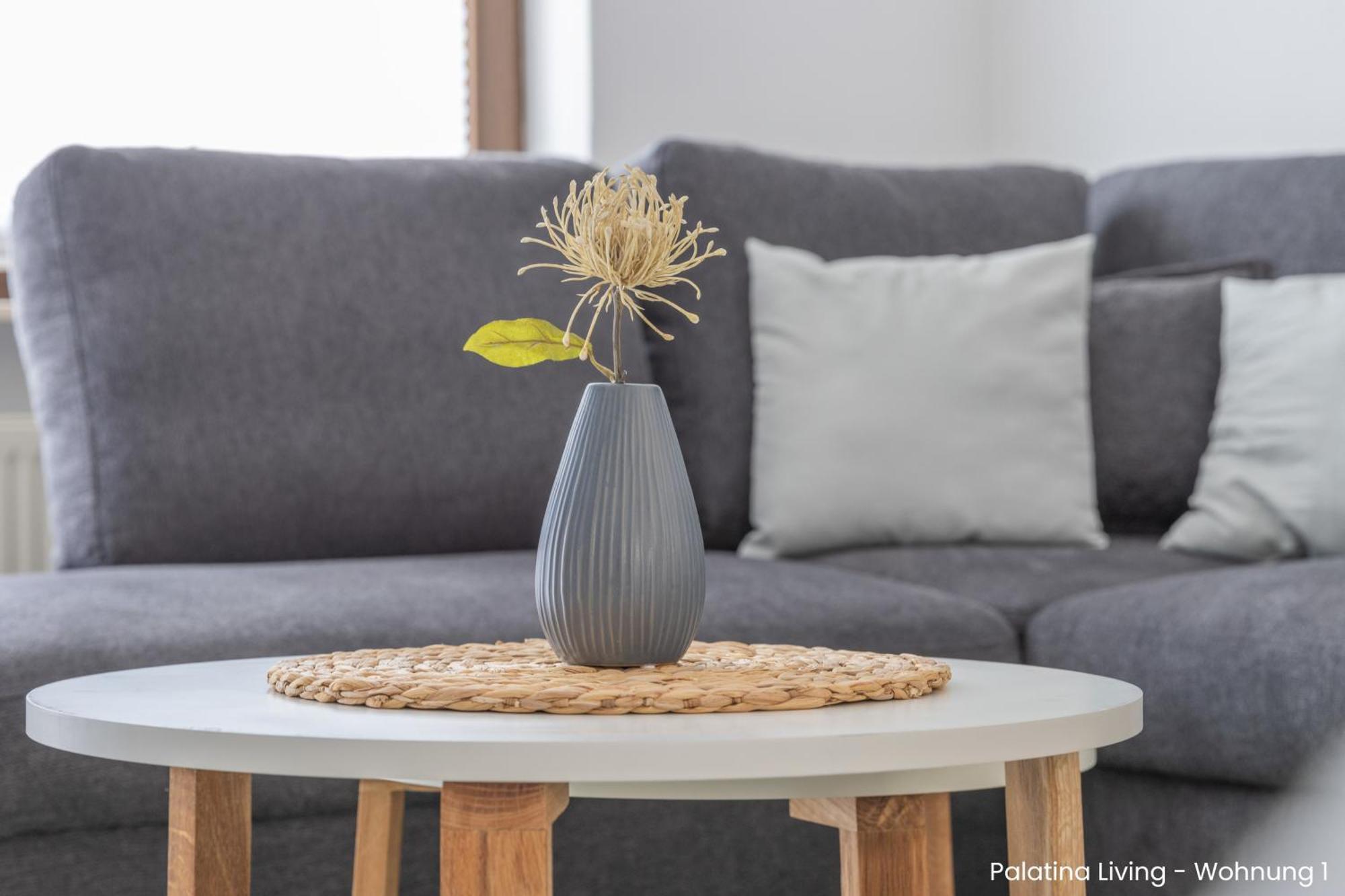 Palatina Living Apartment Fischbach Екстериор снимка